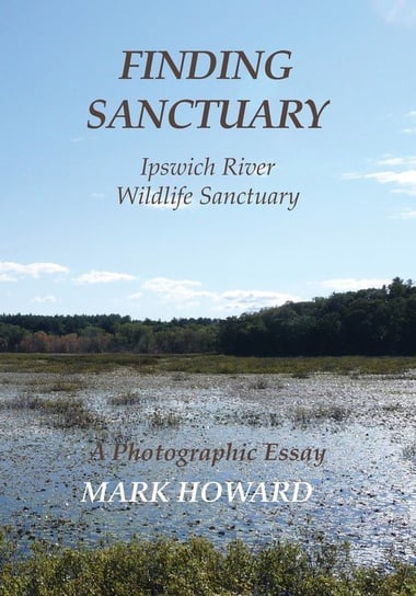 Finding  Sanctuary Howard Mark T