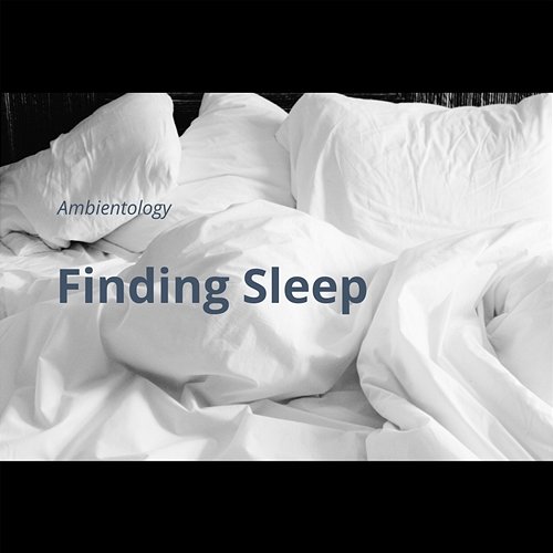 Finding Sleep Ambientology