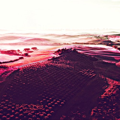 Finding Tomorrow Melissa McGee