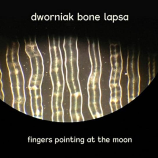 Fingers Pointing At The Moon Dworniak Bone Lapsa