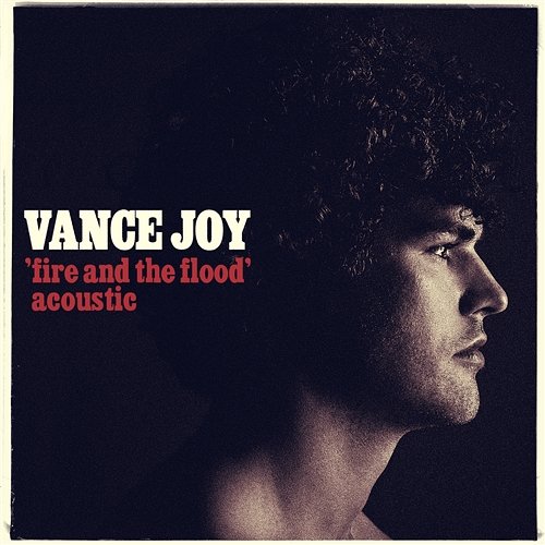 Fire and the Flood Vance Joy