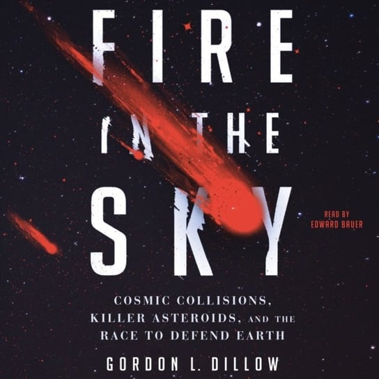Fire in the Sky Dillow Gordon L.