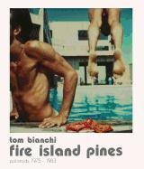 Fire Island Summers Bianchi Tom