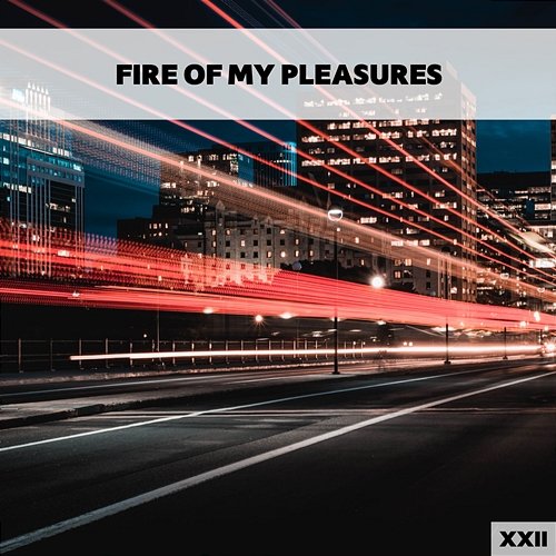 Fire Of My Pleasures XXII Various Artists