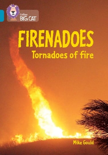 Firenadoes. Tornadoes of fire Gould Mike