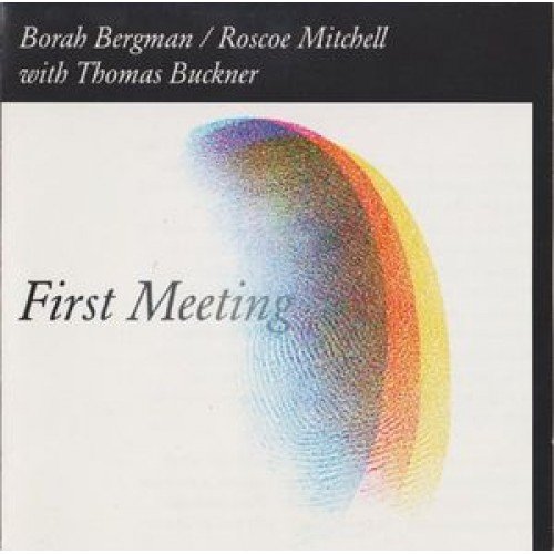 First Meeting Bergman Borah, Mitchell Roscoe