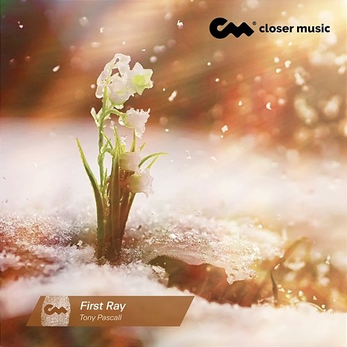 First Ray Tony Pascall