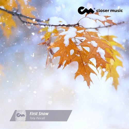 First Snow Tony Pascall