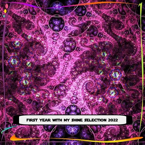 FIRST YEAR WITH MY SHINE SELECTION 2022 Various Artists