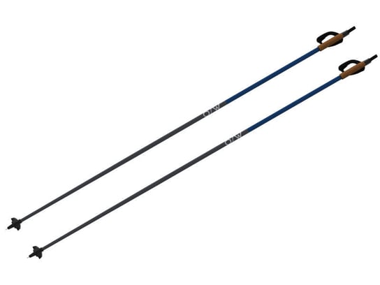 Fischer, Kijki narciarskie, Diamond 2, granatowy, 155 cm FISCHER