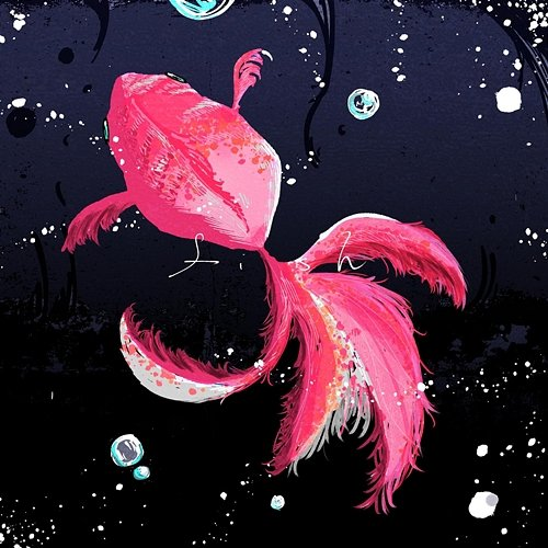 fish TOOBOE