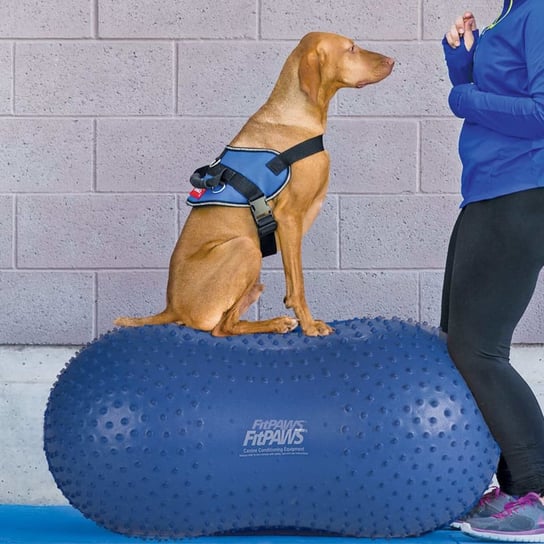 FitPAWS Platforma równoważna Trax Peanut, 60 cm, niebieska FitPAWS