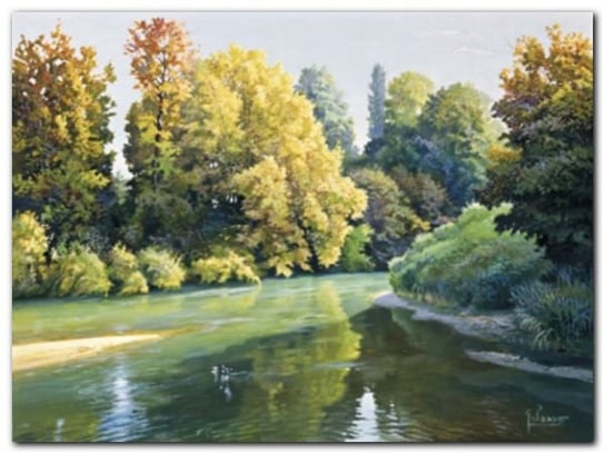 Fiume Tra I Boschi plakat obraz 80x60cm Wizard+Genius