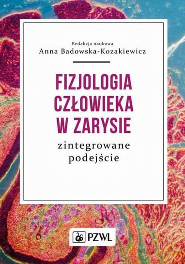 Fizjologia człowieka w zarysie Badowska-Kozakiewicz Anna