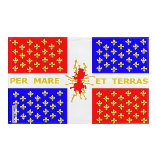 Flaga Compagnies franches de la marine od 1690 do 1761 192x288cm z poliestru Inny producent (majster PL)