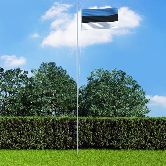 Flaga Estonii VIDAXL, różnokolorowa, 90x150 cm vidaXL