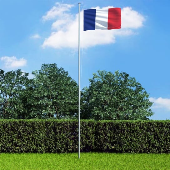 Flaga Francji z aluminiowym masztem, 6,2 m vidaXL