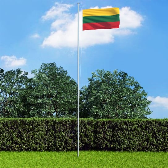 Flaga Litwy VIDAXL, różnokolorowa, 90x150 cm vidaXL