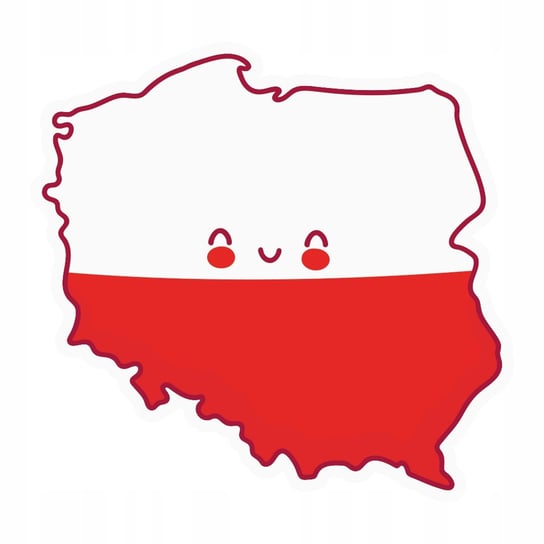 FLAGA mapa Polski Tablica Manipulacyjna TM19 Inny producent
