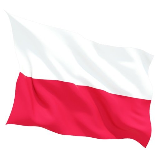 Flaga Narodowa Polski 100x60 Cm Biało Czerwona Na Maszt Inny Producent Sklep Empikcom 3306