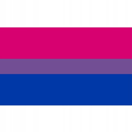 FLAGA TĘCZOWA LGBT DUŻA 90x150cm BISEKSUALNOŚĆ F7 Inna marka