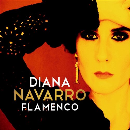 Flamenco Diana Navarro