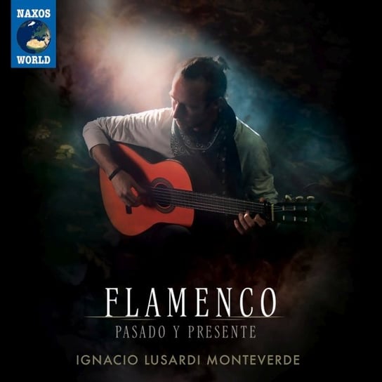 Flamenco. Pasado y Presente Lusardi Monteverde Ignacio
