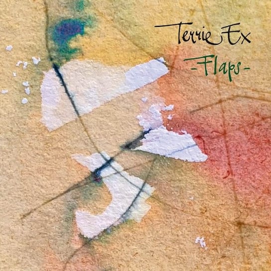 Flaps!, płyta winylowa Terrie Ex