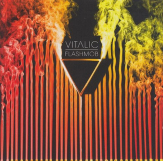 Flashmob Vitalic