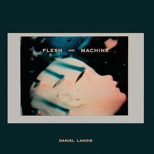 Flesh And Machine Daniel Lanois