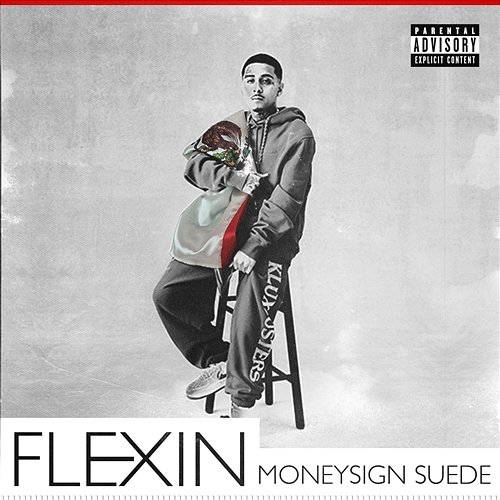 Flexin MoneySign Suede