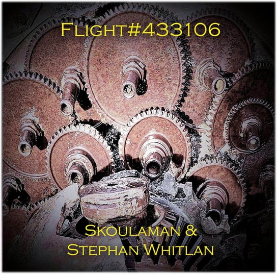 Flight 433106 Stephan Whitlan