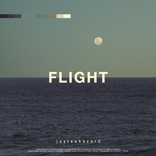 Flight Jayteehazard