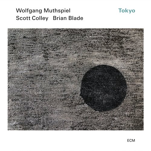 Flight Wolfgang Muthspiel, Brian Blade, Scott Colley