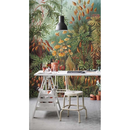 Flizelinowa fototapeta Tropikalna dżungla 208x146 Coloray