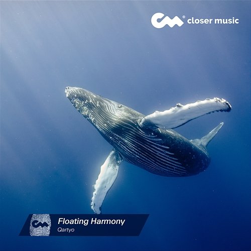 Floating Harmony Qartyo
