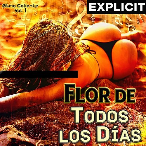 Flor de Todos los días Various Artists