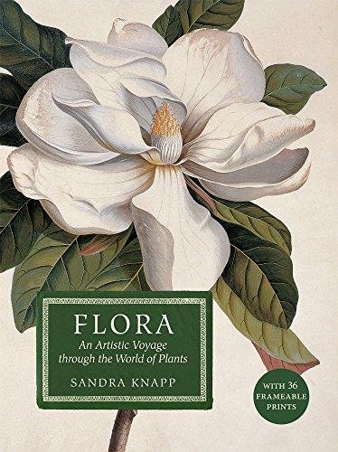 Flora: An Artistic Voyage Through the World of Plants Knapp Sandra
