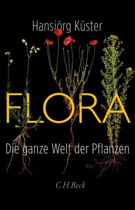 Flora Beck