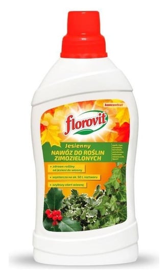 Florovit nawóz jesienny do roślin zimozielonych 1 kg Inco Inco