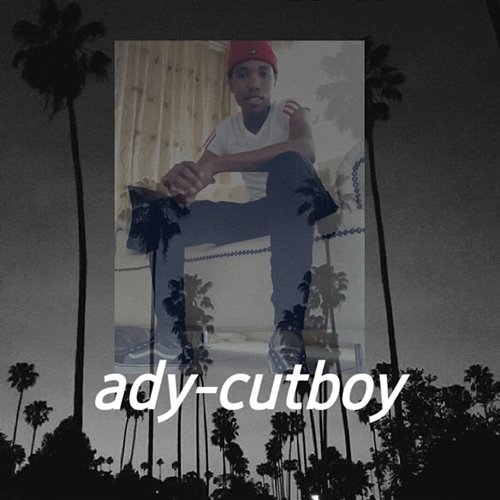 Flow Ady-cutboy