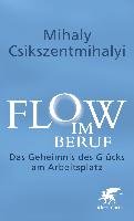 Flow im Beruf Csikszentmihalyi Mihaly