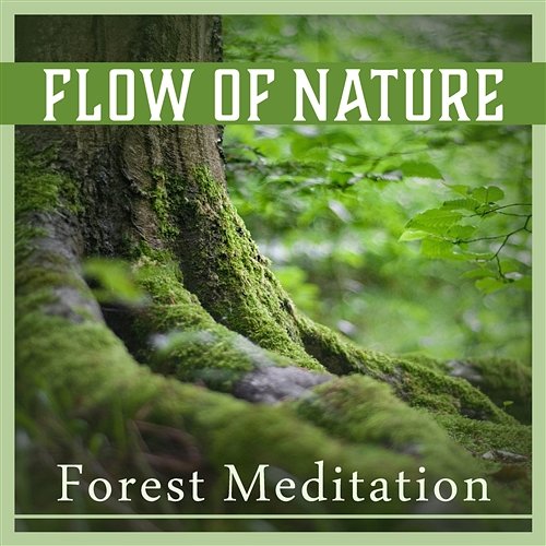 Flow of Nature – Forest Meditation: Constant Mindfulness, Blissful Unity, Mental Oasis, Tranquil Sounds, Heal Your Soul Zen Natural Sounds