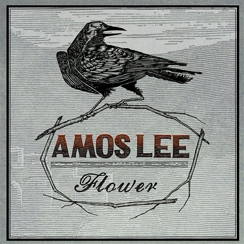 Flower Amos Lee