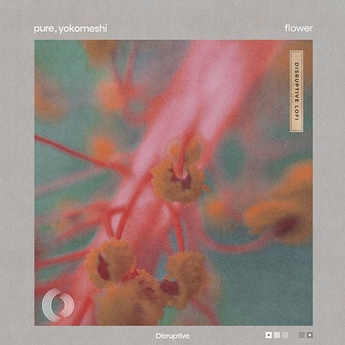 Flower Disruptive LoFi, Yokomeshi, Pure
