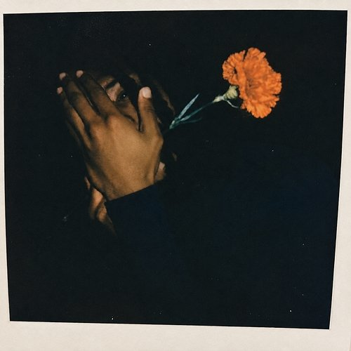 flower ay3demi