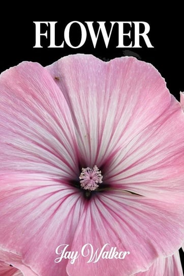 Flower Walker Jay