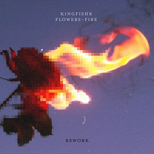 flowers-fire Kingfishr