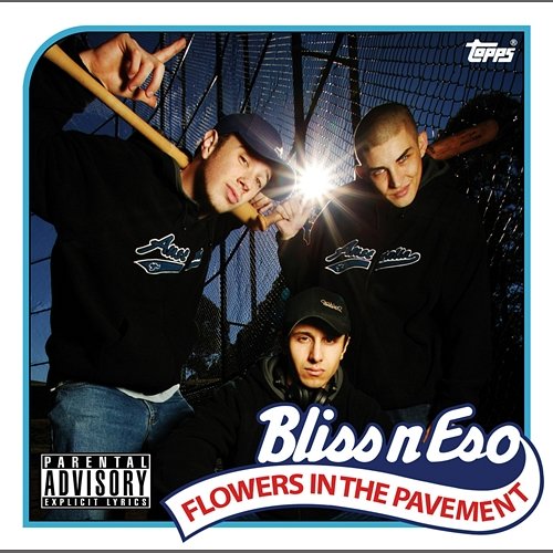 Flowers In The Pavement Bliss n Eso