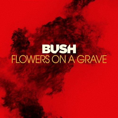 Flowers On A Grave Bush
